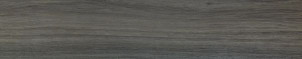 Queensland Silver Ash CP8610