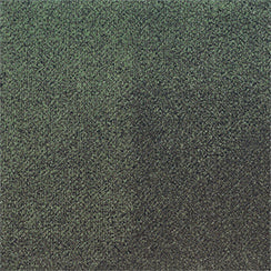CMA240 Gumleaf Chroma - Beyond Chroma