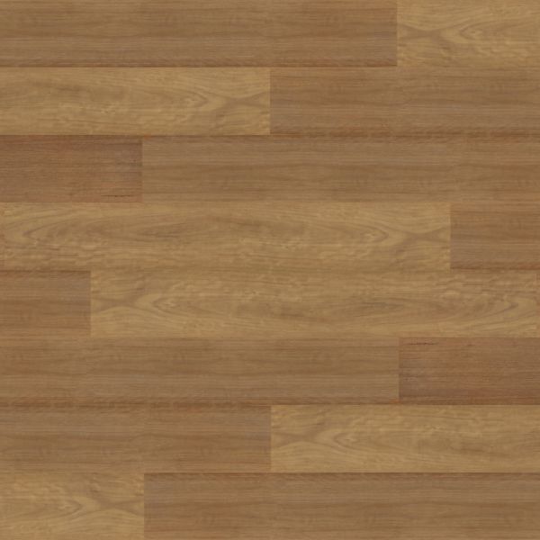 Blackbutt