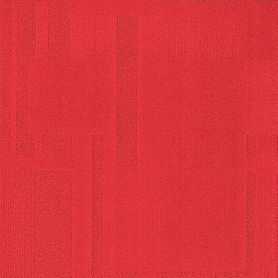 Vivid162-B42 Calypso Clash