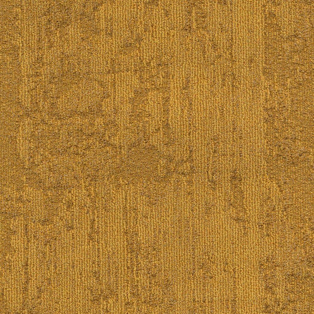 IST111-134 Midnight Sun