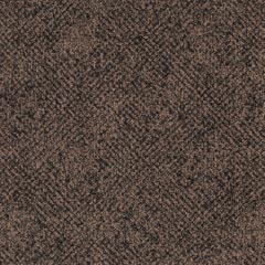 LNX17 Cinnamon Sugar Linx - Colour Connect