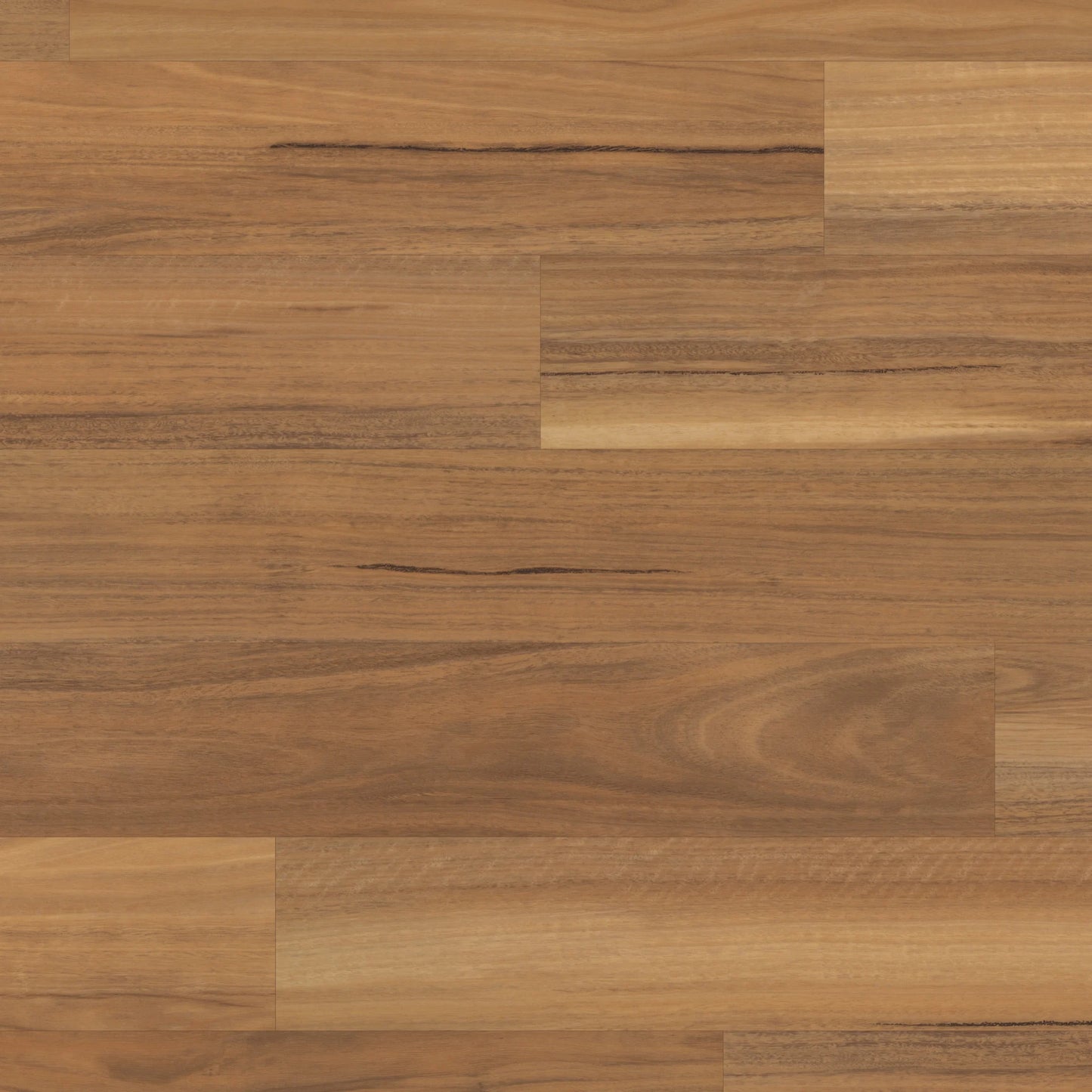 Lemon Spotted Gum SCB-VGW104T