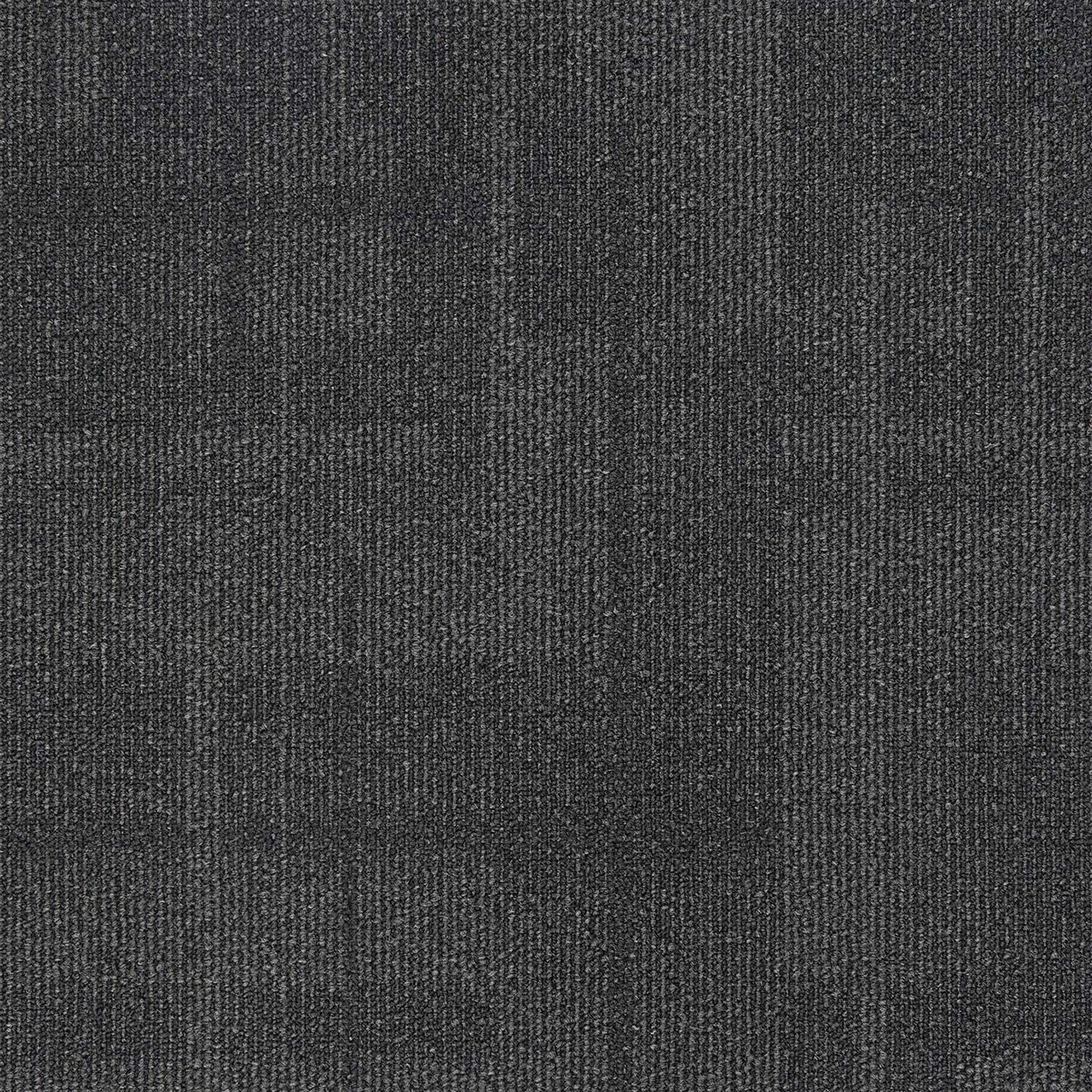 Lively Airlay Dynamic Collection