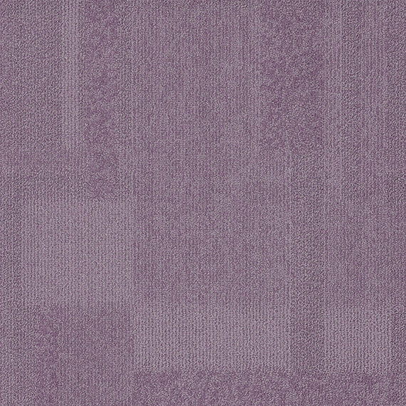 Vivid065-A31 Lucky Lilac