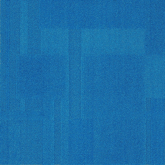 Vivid148-F23 Surf’s Up