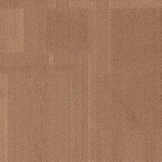 Vivid186-D52 Toasted Coconut