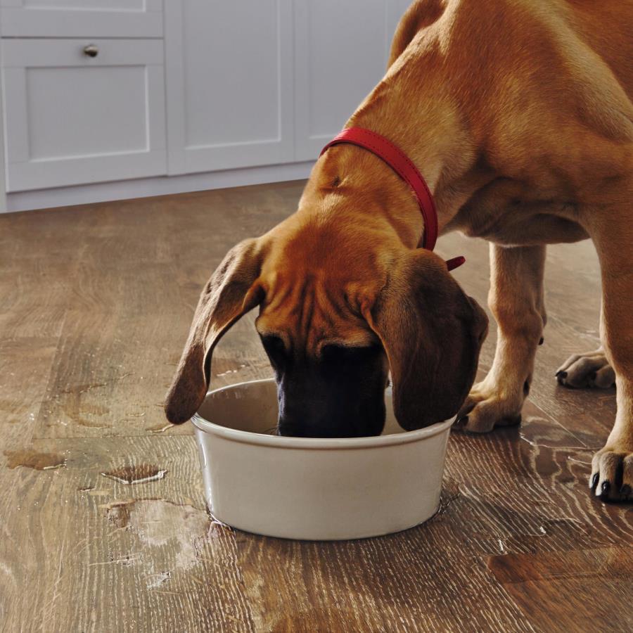 Hessian Oak SCB-VGW93T