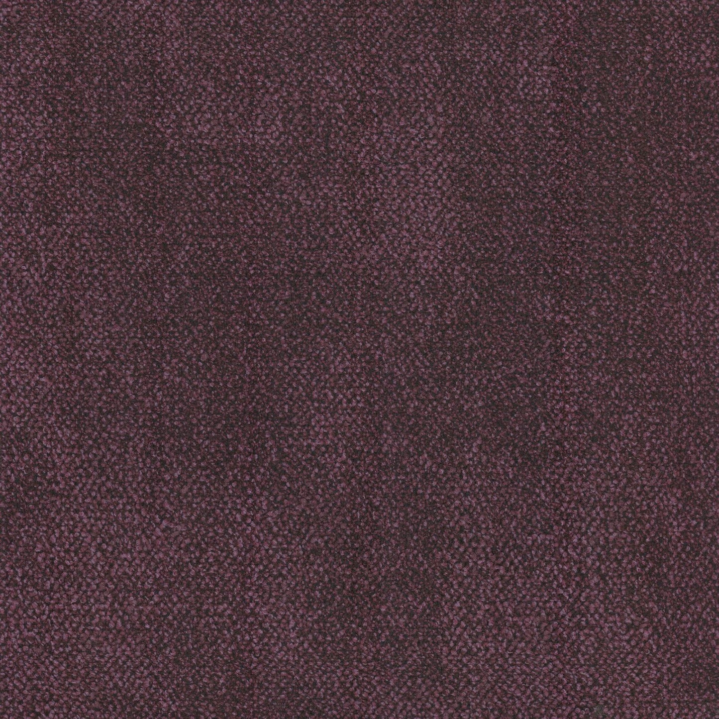 Aubergine #132 Mist Range