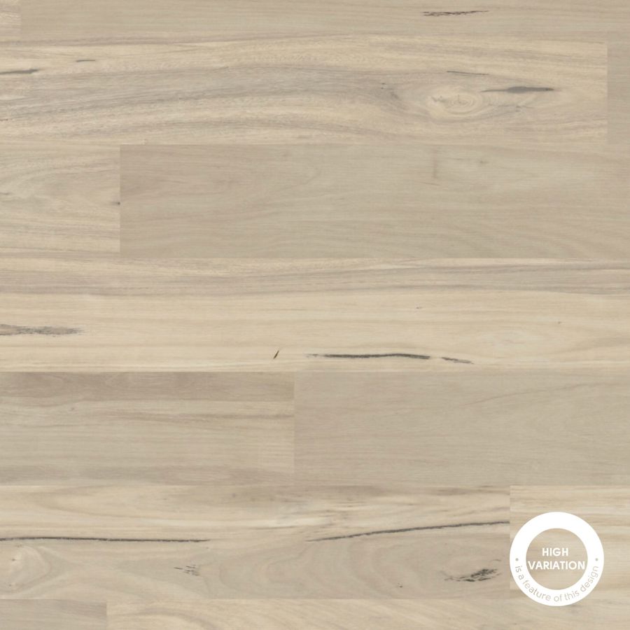 Coastal Blackbutt Knight Tile Gluedown LVT Flooring