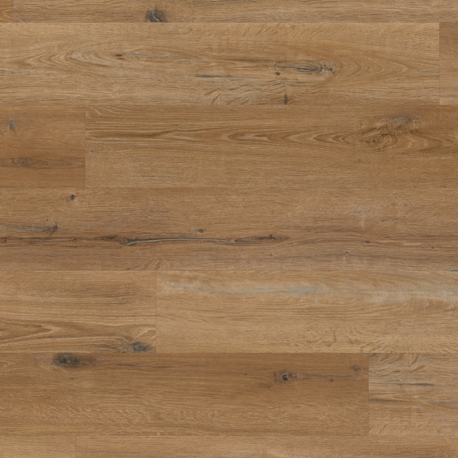 Traditional Character Oak Knight Tile Gluedown LVT Flooring