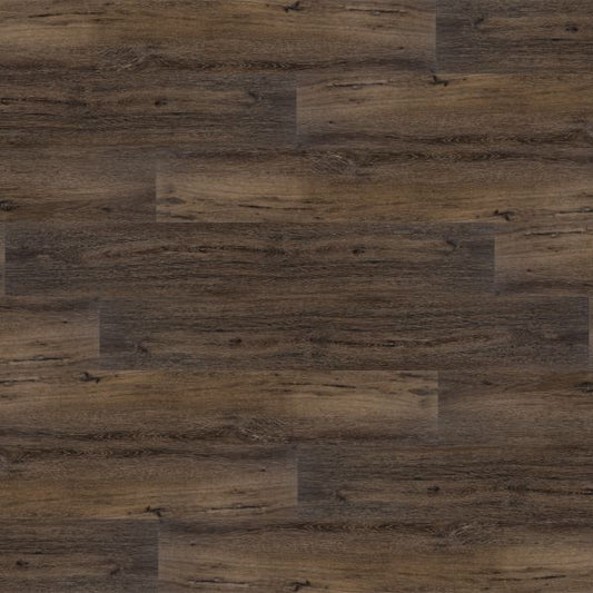 Valley Oak - Haze 1R209508