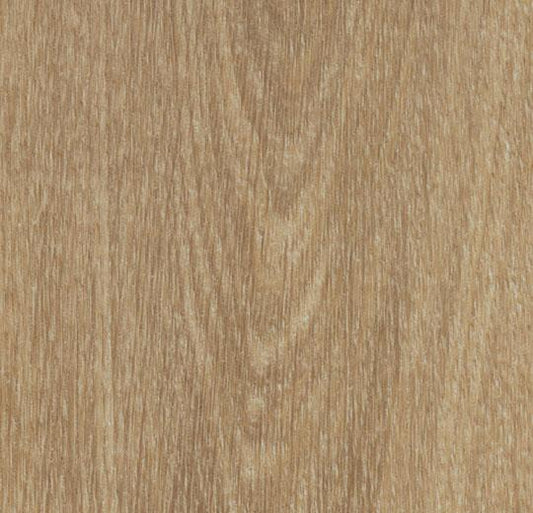 60284FL1 Natural Giant Oak