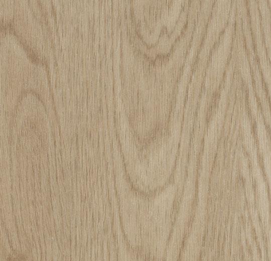 60064PZ7 Whitewash Elegant Oak