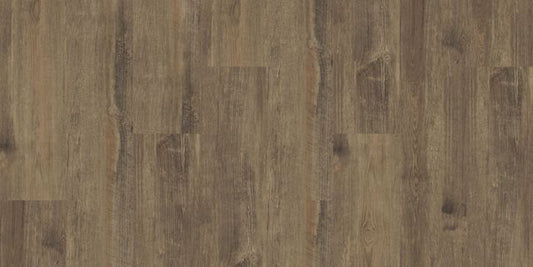 A004140 Antique Maple