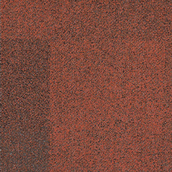 CMA148-147 Coral Chroma - Beyond Chroma