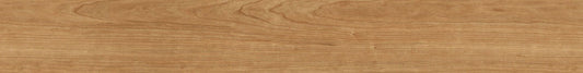 C001050 Cedar