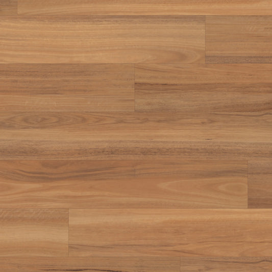 Northern Spotted Gum VGW103T - Van Gogh Gluedown